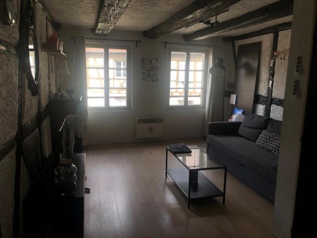 Appartement Le Secret Des Tanneurs à Colmar Extérieur photo