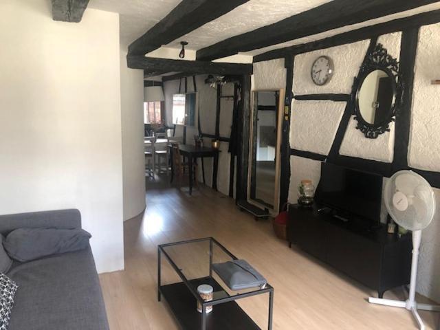 Appartement Le Secret Des Tanneurs à Colmar Extérieur photo